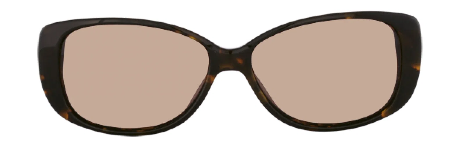 Via Spiga VS348S Sunglasses - Grey - view 7
